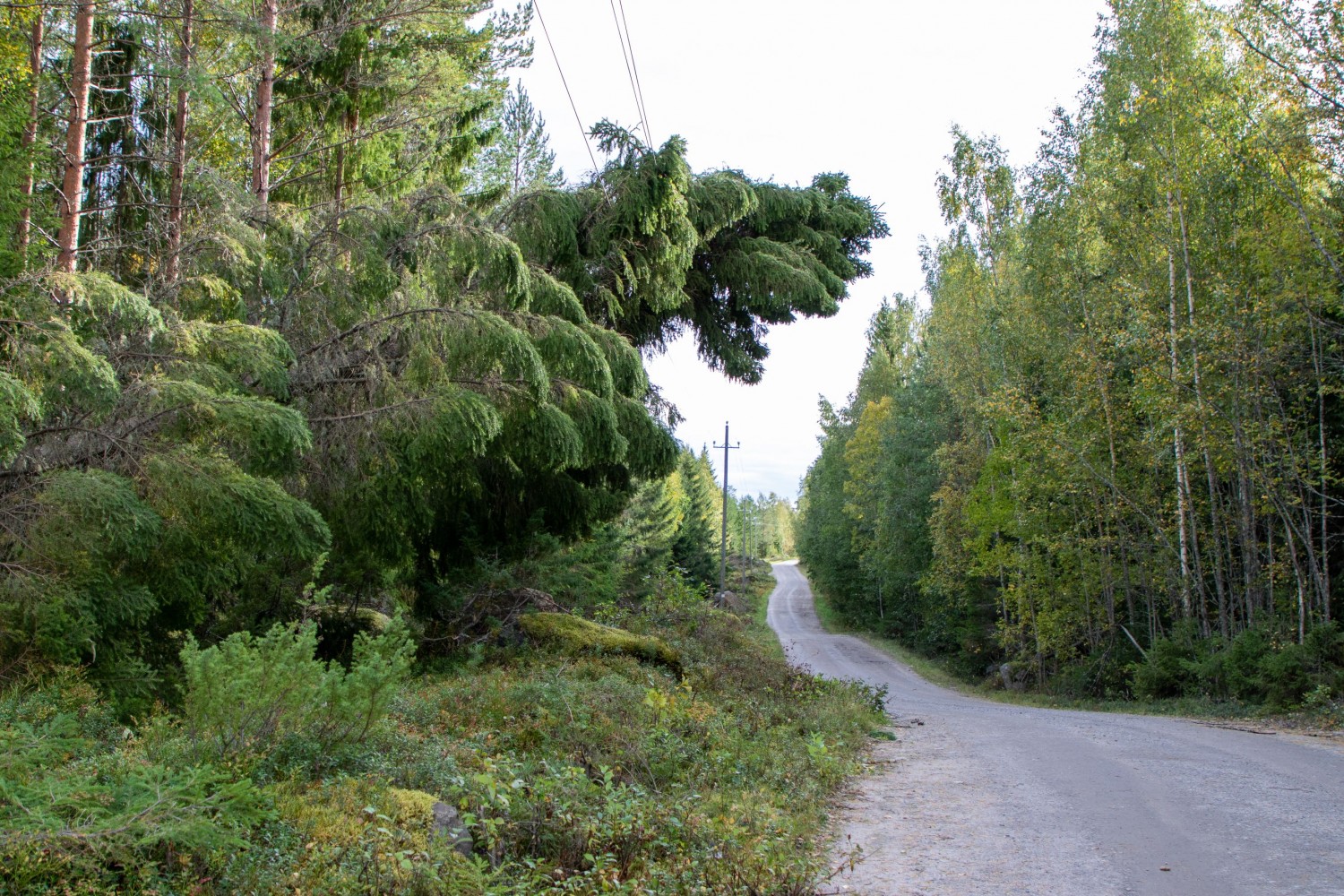 Pitkien sähkökatkojen korvaukset