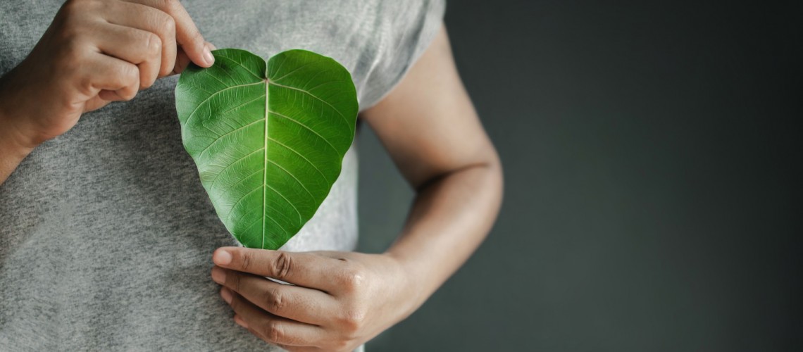 Herrfors alan kestävin sähköyhtiö asiakkaiden mielestä