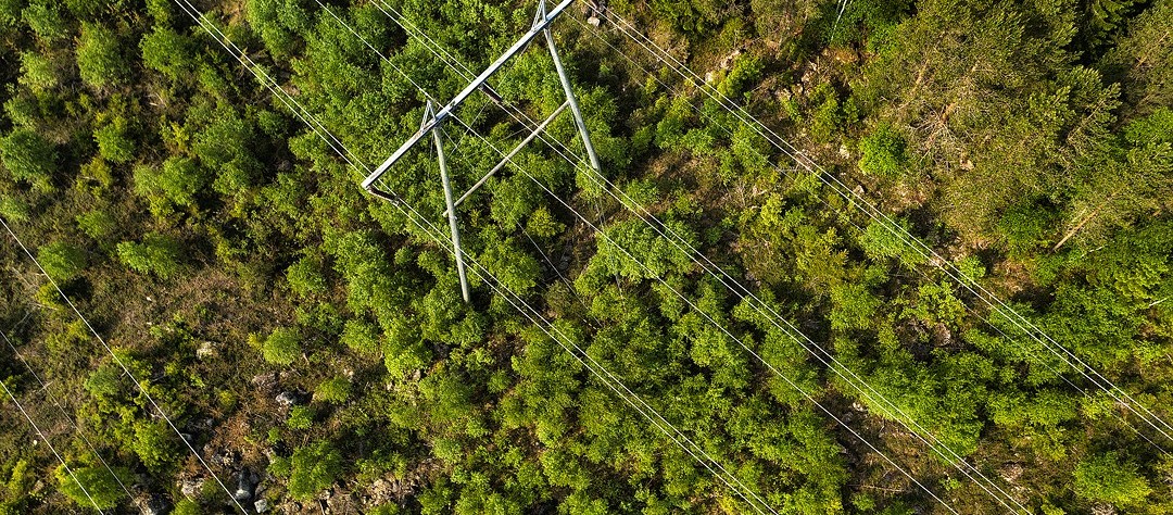 Oletko seuraava alueverkkopäällikkömme?