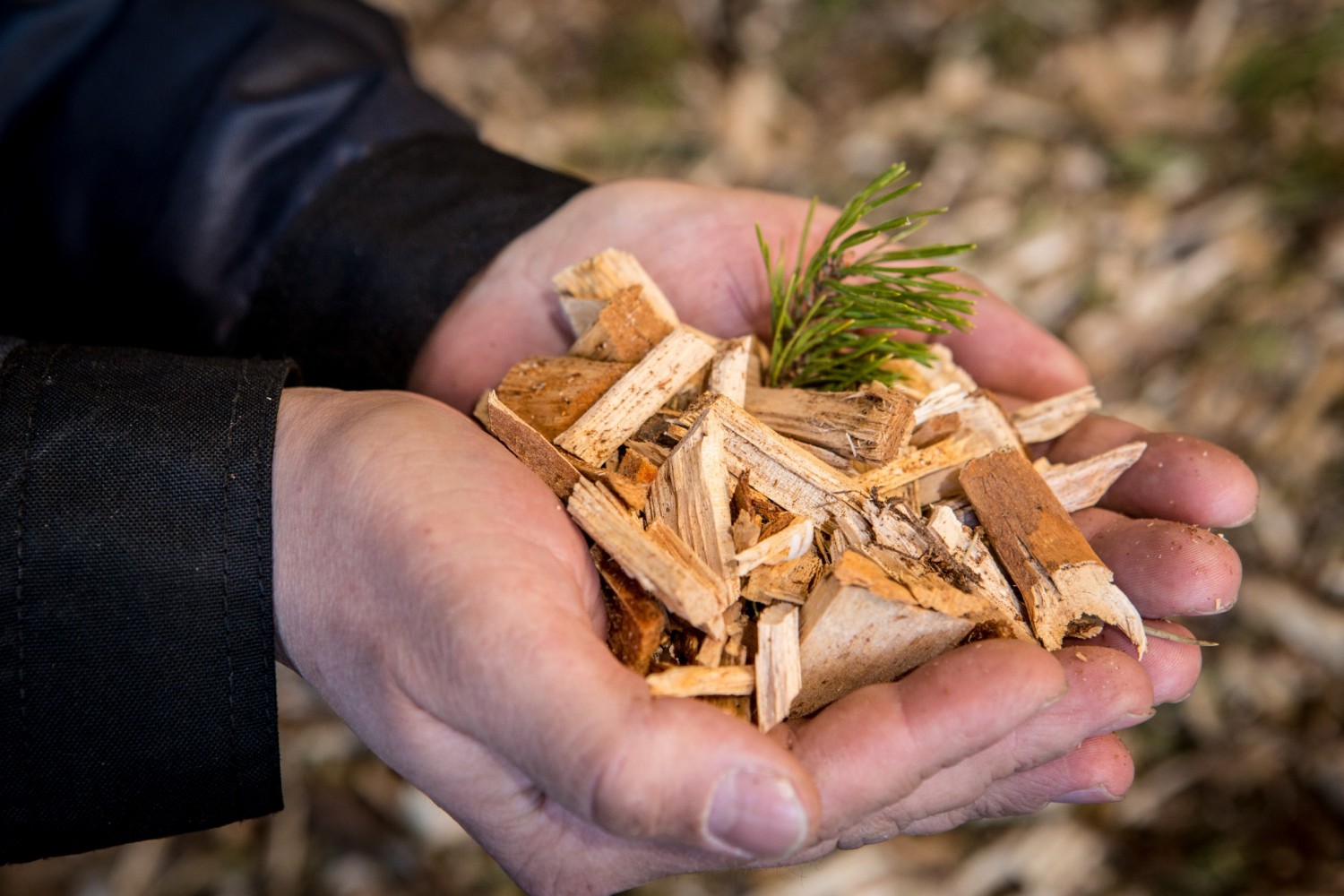 Herrforsin kaukolämpö sai asiakkailta hyvän arvosanan