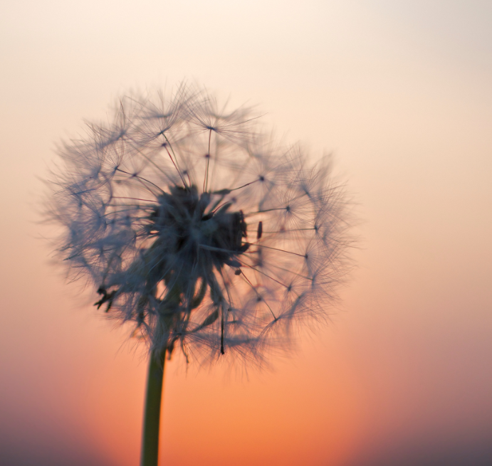 4000€ avustus öljylämmityksen vaihtamiseen kaukolämpöön omakoti- ja paritaloille